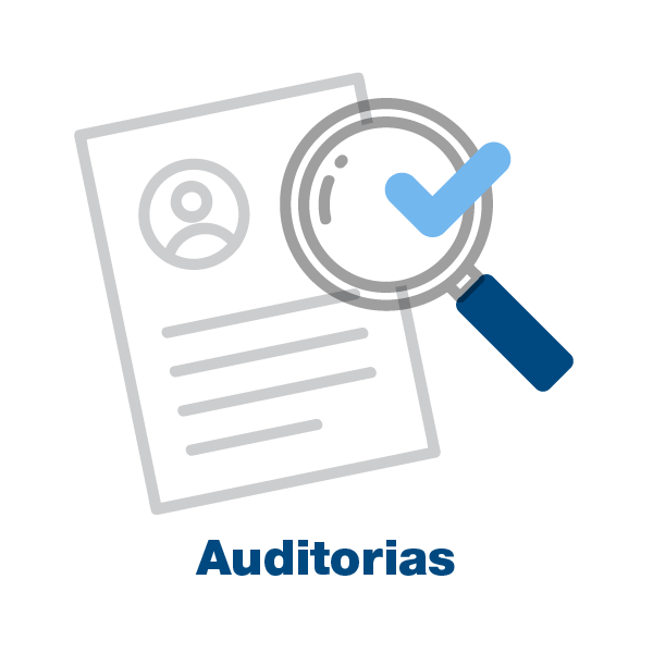Auditorias