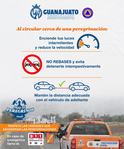 PEREGRINOS-2026-CARROS